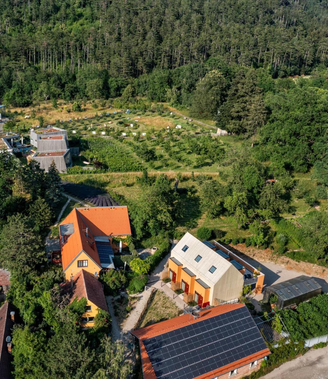 Schwarzau am Steinfelde Flora Auf Gut Guntrams酒店 外观 照片